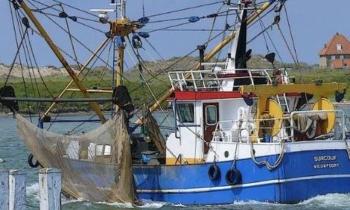 Puzzle 11436 - Bateau de pêche