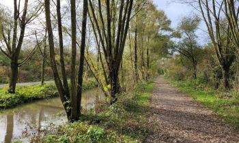 Puzzle 12361 - promenade dans les marais