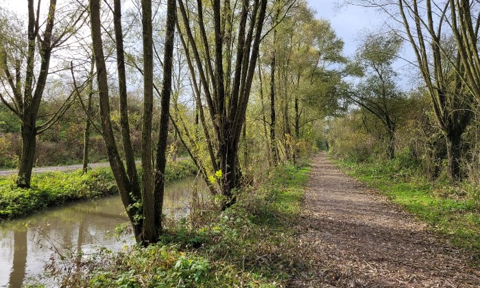 Puzzle promenade dans les marais