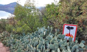 Puzzle 11392 - Attention au feu
