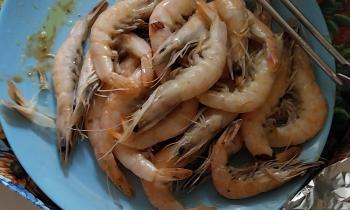 Puzzle 10745 - Assiette de crevettes