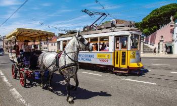 Puzzle 9690 - Lisbonne calèche et tram