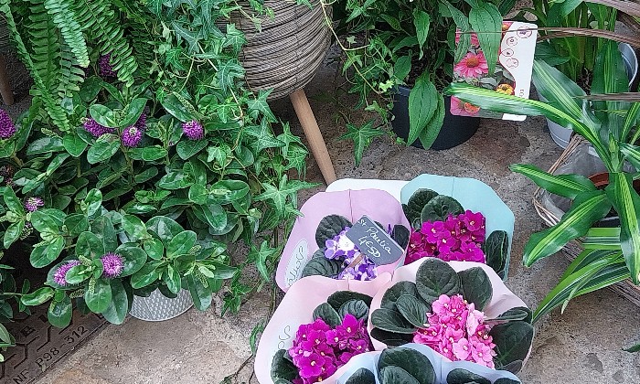Puzzle Fleurs