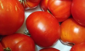 Puzzle 11041 - Tomates
