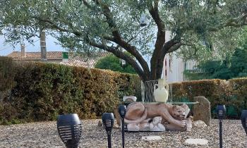 Puzzle 11477 - Allée de jardin