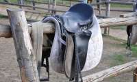 Puzzle Selle de cheval