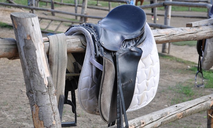 Puzzle Selle de cheval