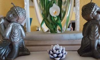 Puzzle 13050 - Coin zen