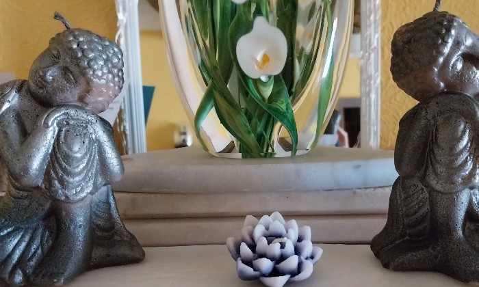 Puzzle Coin zen