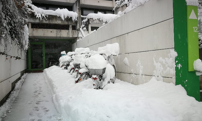 Puzzle Montréal