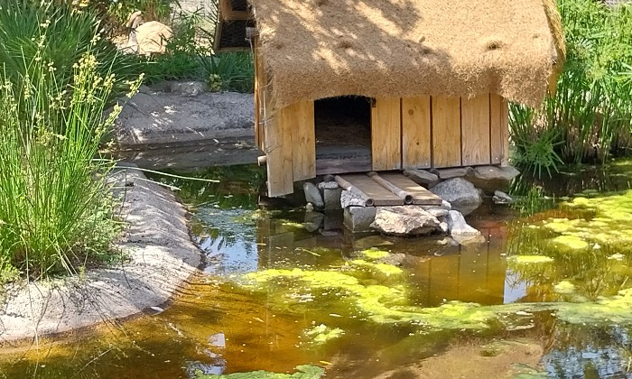 Puzzle Cabane - Paysages & Fleurs - Absolu Puzzle