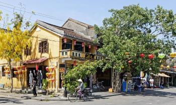 Puzzle 9446 - Au Vietnam