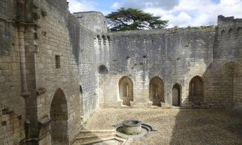 13182 | cour de château - la cour du château de Bourdeilles