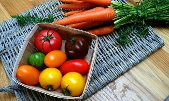 Puzzle 11365 - Tomates anciennes et carottes