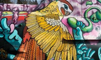 Puzzle 9555 - Street Art
