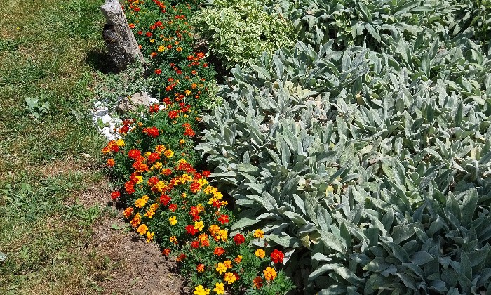 Puzzle Parterre fleuri
