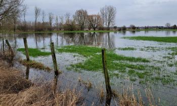 Puzzle 9318 - trop d'eau