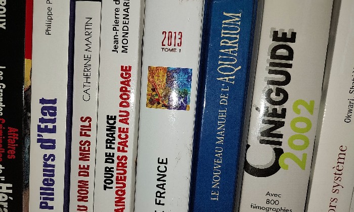 Puzzle Bibliothèque