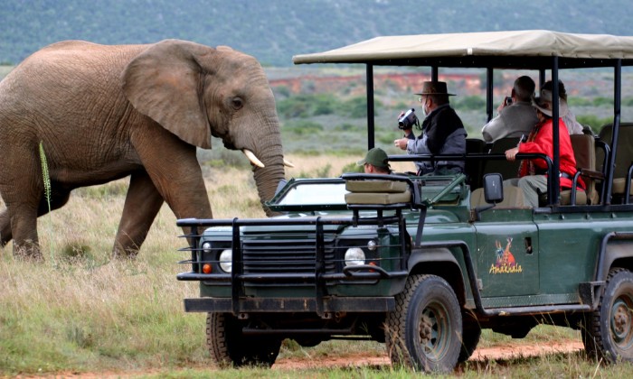 Puzzle LAND ROVER SAFARI - Véhicules & Motos - Absolu Puzzle