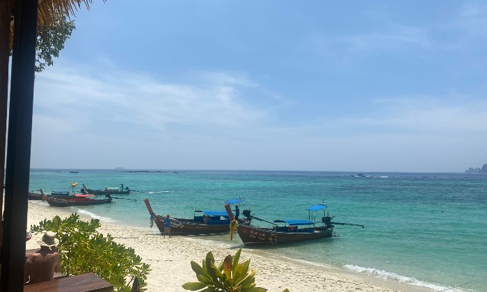 Puzzle thailande - Paysages & Fleurs - Absolu Puzzle