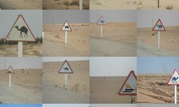 Puzzle 9454 - Tous identiques