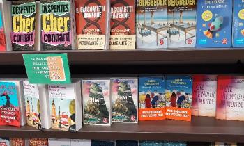 Puzzle 11016 - Livres