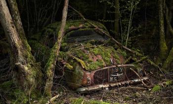 Puzzle 11155 - RENAULT DAUPHINE