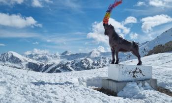 Puzzle 14968 - Isola 2000