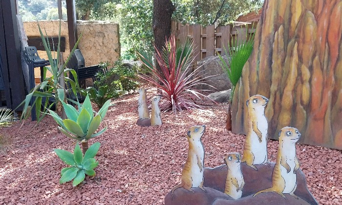 Puzzle Suricates