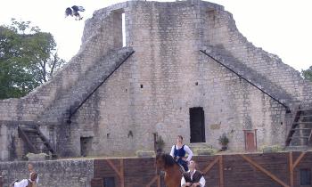 Puzzle 10459 - spectacle avec des aigles