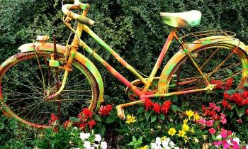 Puzzle 13450 - vieux vélo en déco