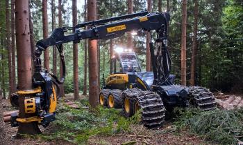 Puzzle 14238 - ENGIN FORESTIER