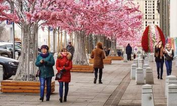 9553 | le printemps est de retour - 