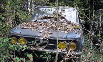 Puzzle 13355 - ALFA ROMEO