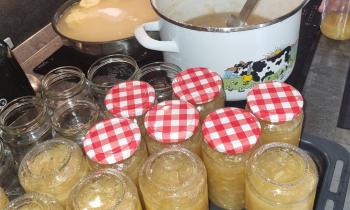 Puzzle 10325 - Confiture de citron de Menton