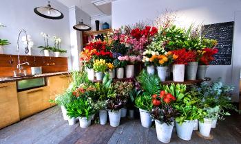 Puzzle 9731 - de jolis bouquets