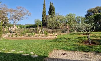 Puzzle 11533 - Jardin