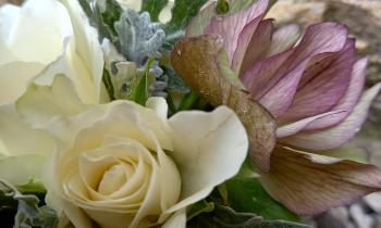 Puzzle 9647 - fleurs de Fanfan