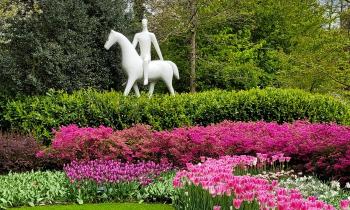 12511 | Cavalier - Parc de Keukenhof Pays Bas