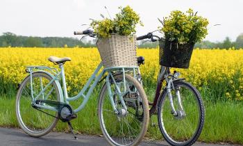 Puzzle 10075 - Duo de bicyclettes au champs