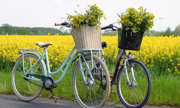 Puzzle Duo de bicyclettes au champs