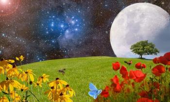 Puzzle 10703 - Prairie galactique