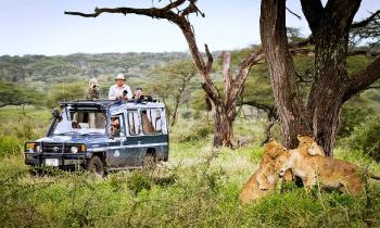 Puzzle 10016 - SAFARI TANZANIE
