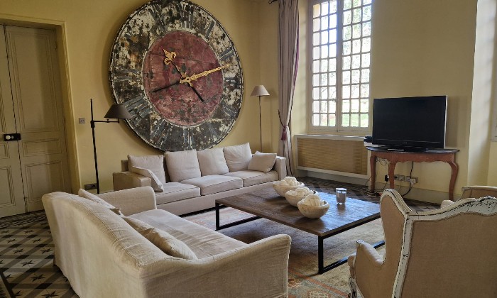 Puzzle Chateau des demoiselles