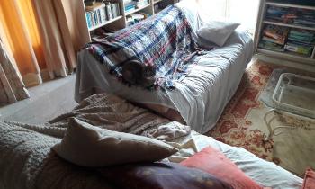 Puzzle 10222 - chat sur canapé