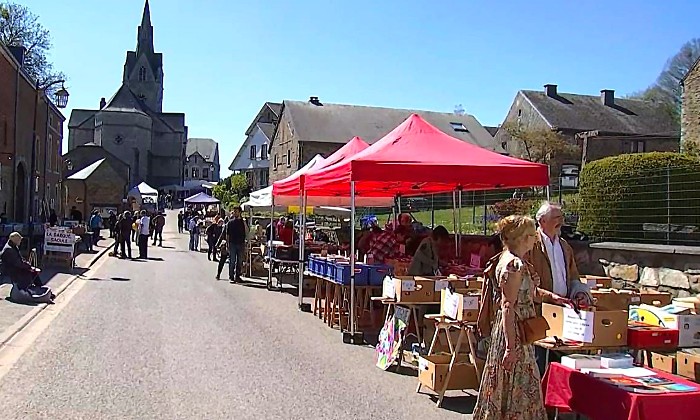 Puzzle Redu le village du livre