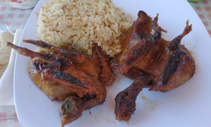 Puzzle Pigeons au dîner en Égypte