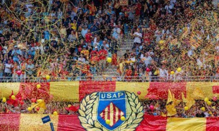 Puzzle Supporters USAP