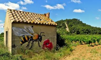 Puzzle 9883 - Casot