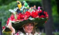 Puzzle le chapeau du printemps